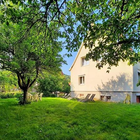 Rooms 4 Persons Kaysersberg Εξωτερικό φωτογραφία
