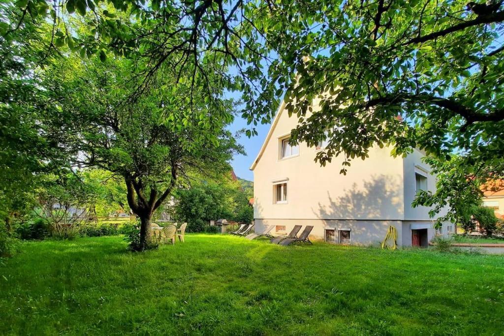 Rooms 4 Persons Kaysersberg Εξωτερικό φωτογραφία
